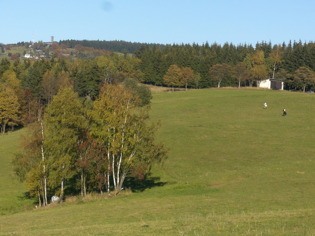 Herbst-in-Klingenthal